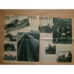 N.Br.: Deurne, De Peel en Helenaveen (coll. oude knipsels).