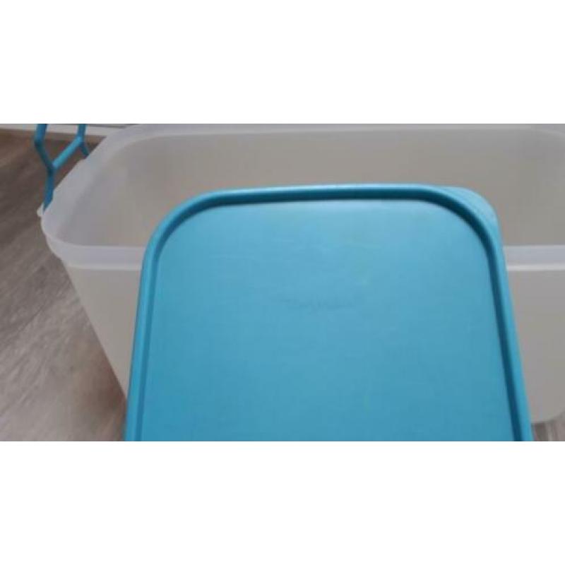 Tupperware brooddoos, broodtrommel, picknick