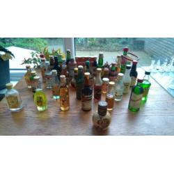 grote 338 stuks verzameling kleine drankflesjes.