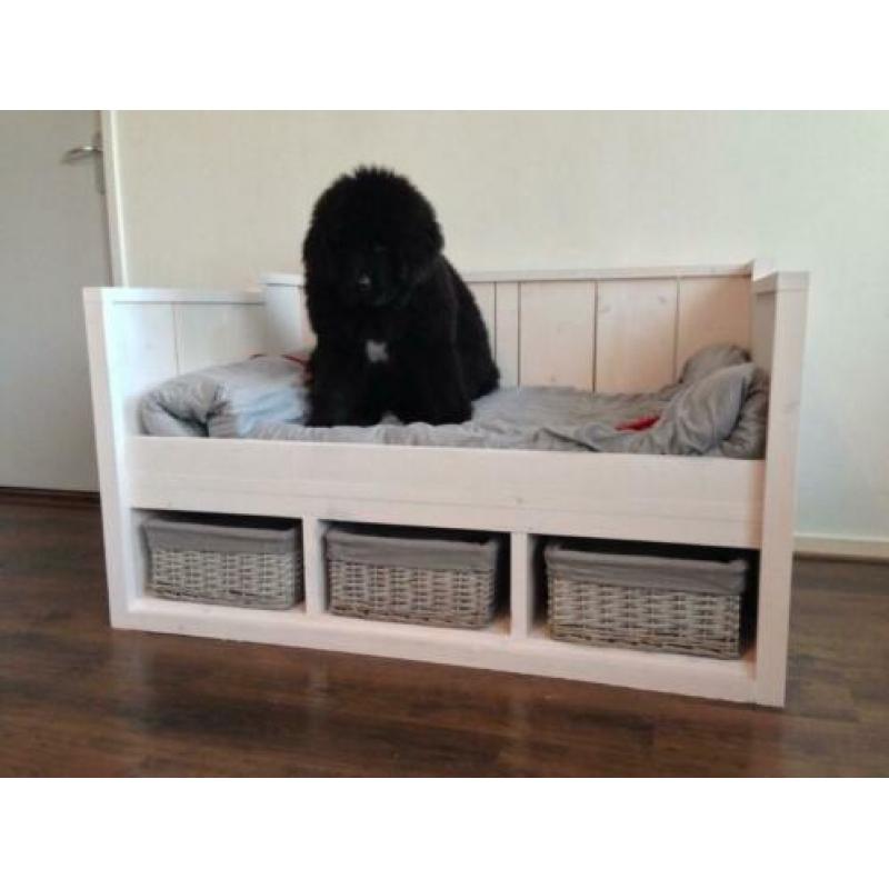 steigerhouten hondenmand