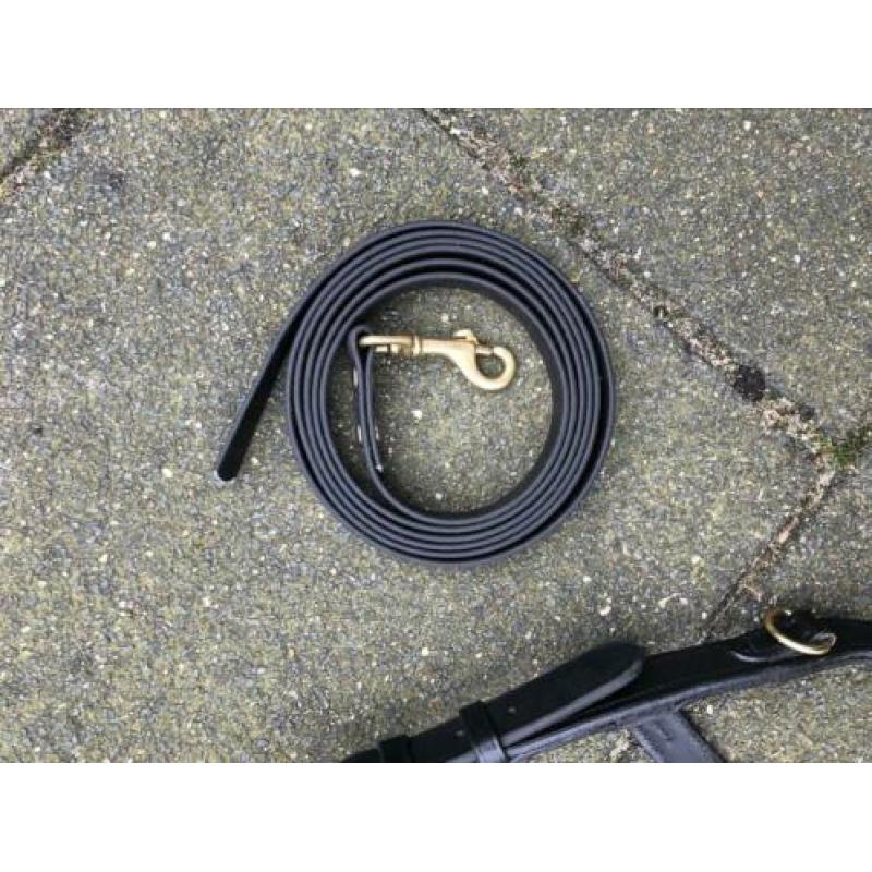 Rambo micklem multi bridle