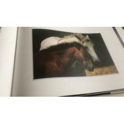 Fotoboek van de Provence