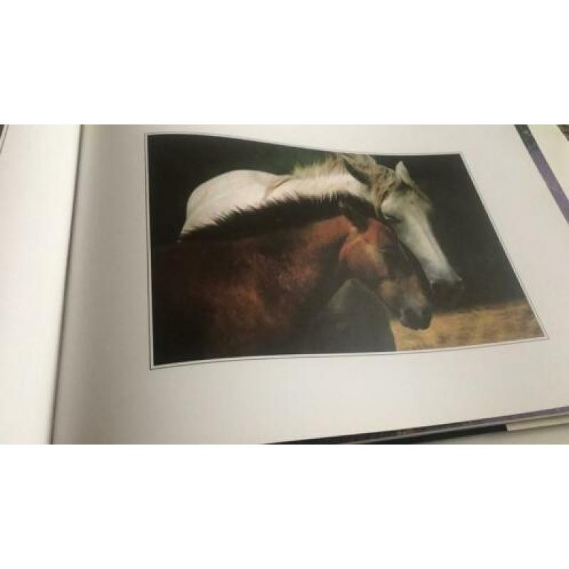 Fotoboek van de Provence