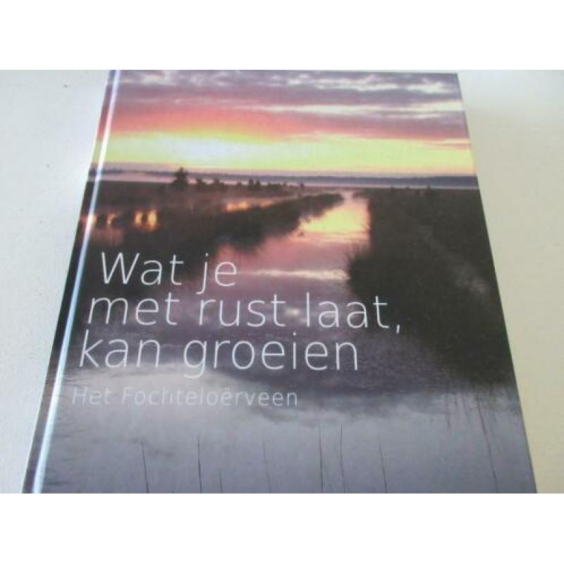 Wat je met rust laat kan groeien Het Fochteloërveen