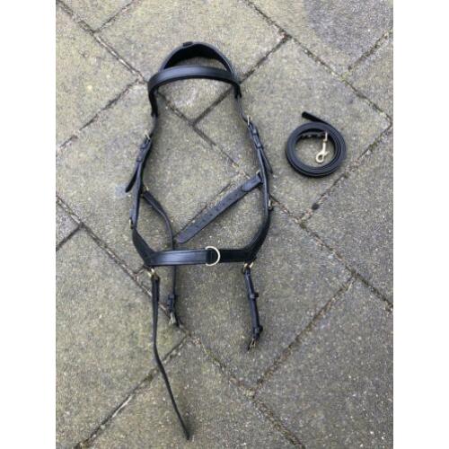 Rambo micklem multi bridle