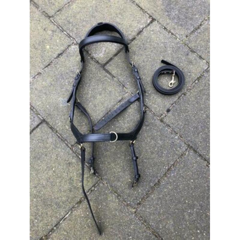 Rambo micklem multi bridle