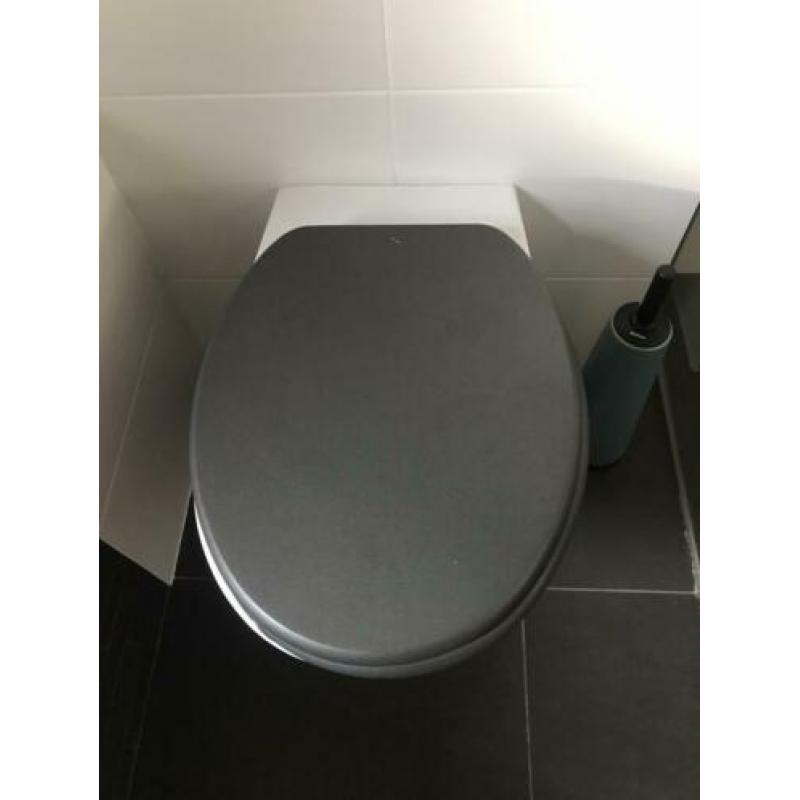 Wc bril-deksel