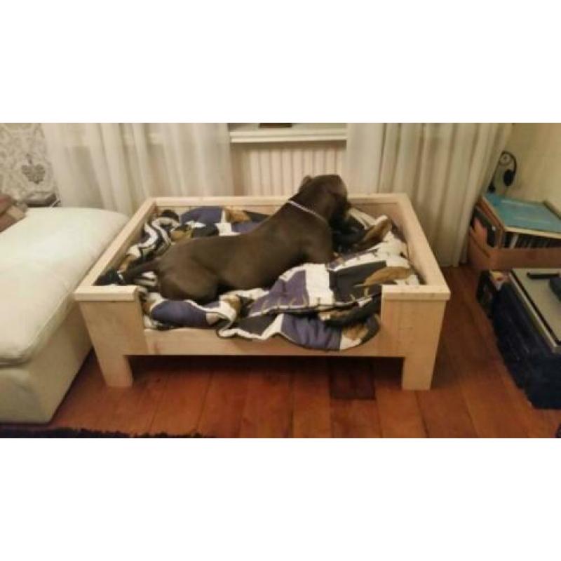 steigerhouten hondenmand