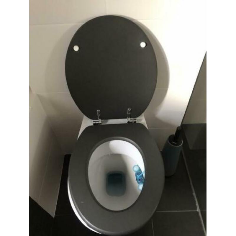 Wc bril-deksel