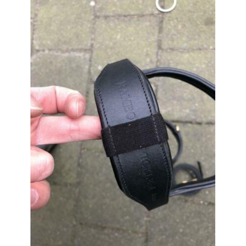 Rambo micklem multi bridle