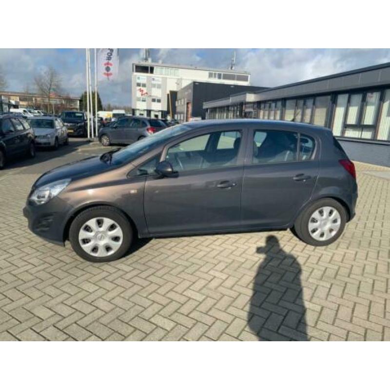 Opel Corsa 1.2-16V Design Edition Top staat auto
