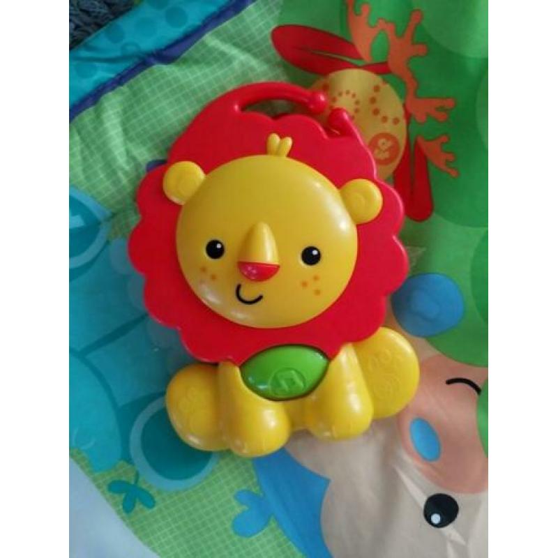 Fisher Price babygym