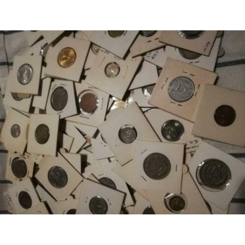 Munten verzameling 100 munten in hoesje van alles en nog wat