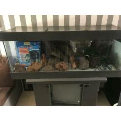 Aquarium 150x50x50