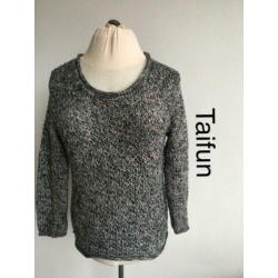 Taifun Trui (mt: 44) 1630/39,3