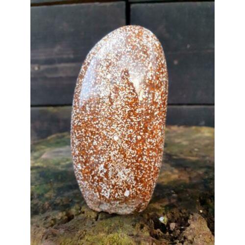 Sculptuur van oceaan jaspis 403 gram