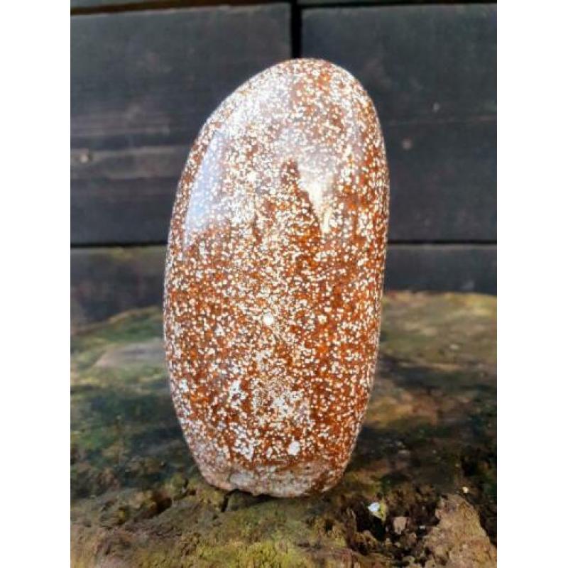 Sculptuur van oceaan jaspis 403 gram