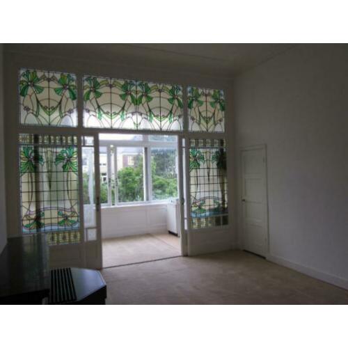 Prachtig appartement in herenhuis in Haarlem