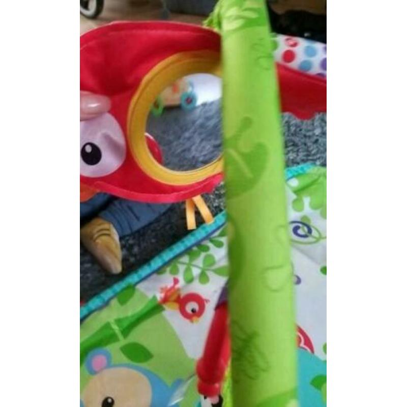 Fisher Price babygym