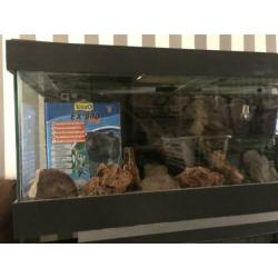 Aquarium 150x50x50