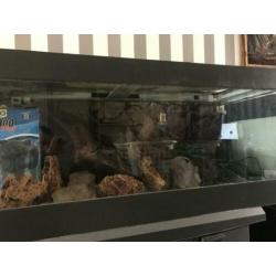 Aquarium 150x50x50