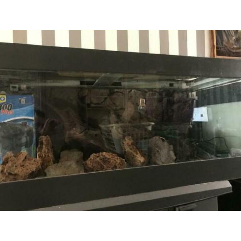 Aquarium 150x50x50