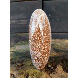 Sculptuur van oceaan jaspis 403 gram