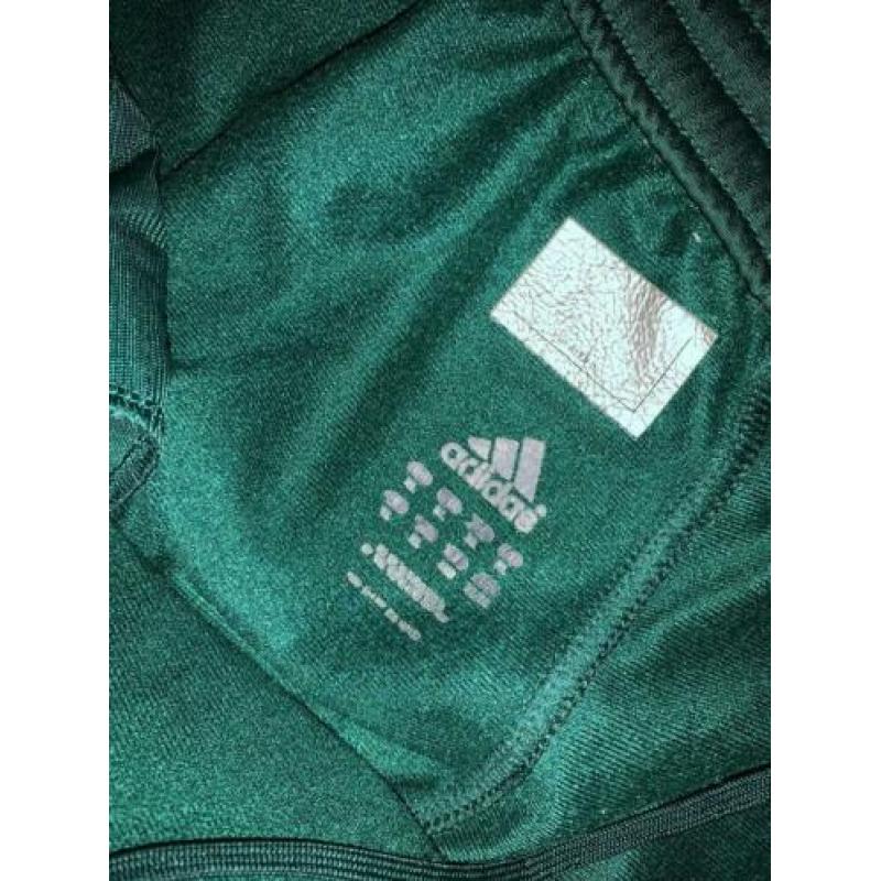 Adidas XL heren trainingsbroek groen