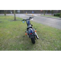 Harley-Davidson Sportster Forty Eight XL 1200 X