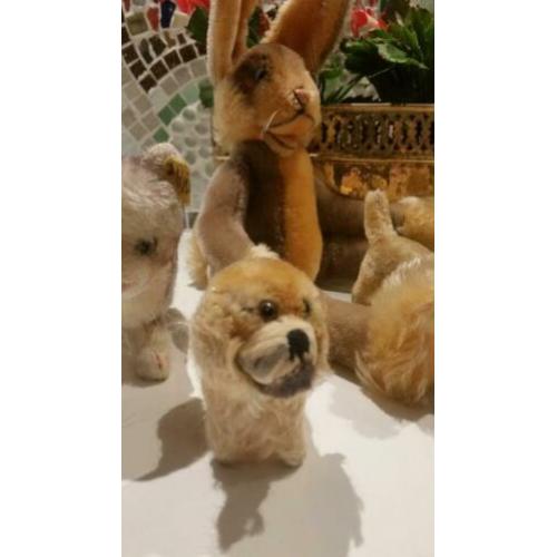 5 Steiffdieren