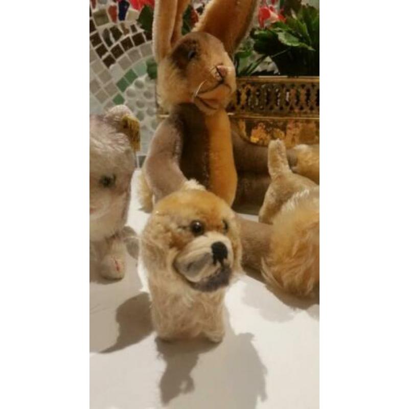 5 Steiffdieren