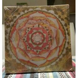Papaya art. com 30x30cm kunst glitter werk op canvas nieuw