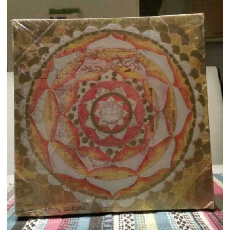 Papaya art. com 30x30cm kunst glitter werk op canvas nieuw