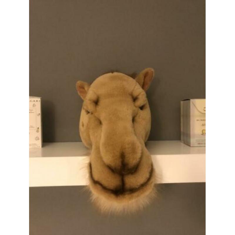 Bibib& Co pluche kameel..