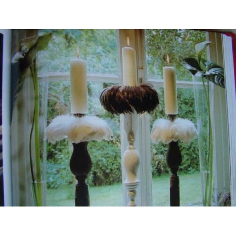 Natuurdecoraties met schelpen, mos en veren