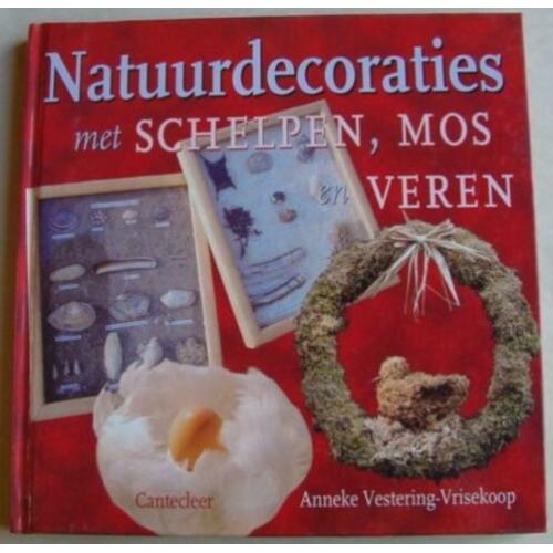 Natuurdecoraties met schelpen, mos en veren