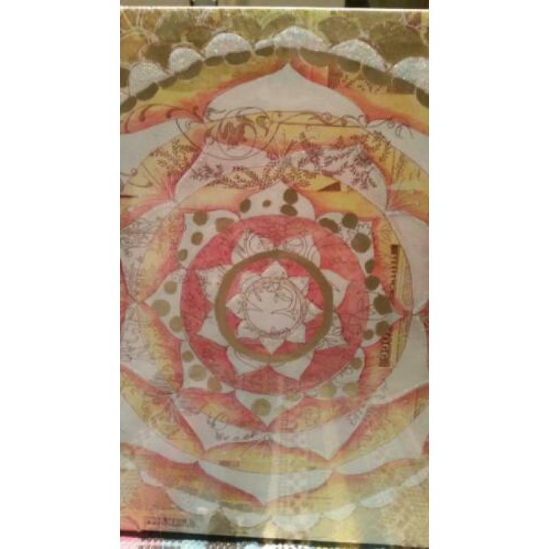 Papaya art. com 30x30cm kunst glitter werk op canvas nieuw
