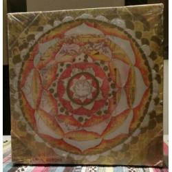 Papaya art. com 30x30cm kunst glitter werk op canvas nieuw