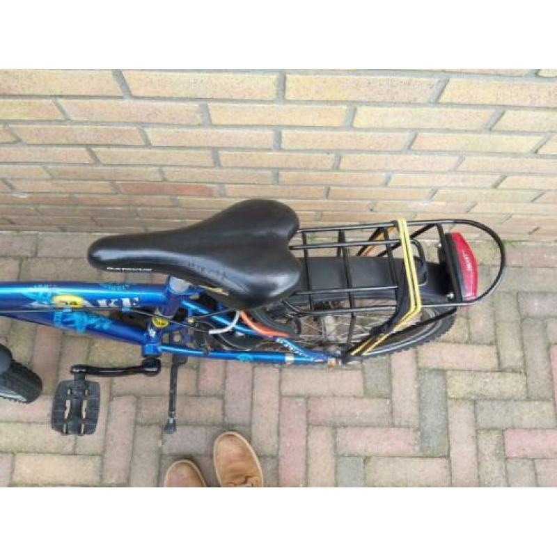 Batavus snake 20 inch