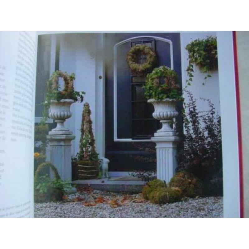 Natuurdecoraties met schelpen, mos en veren