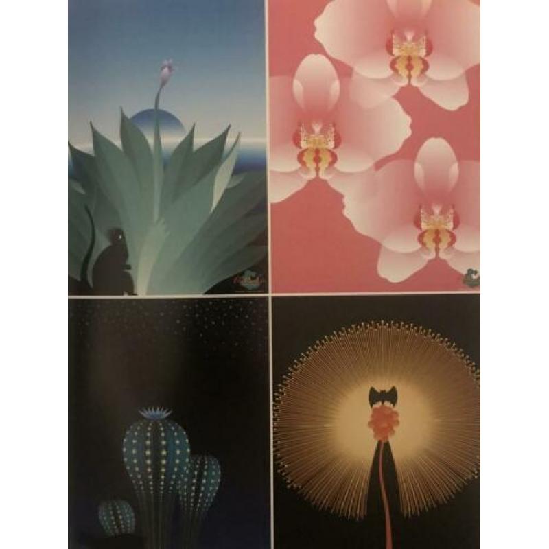 Japanse Graphics Now!