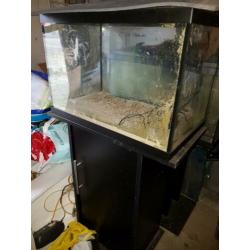 2 aquariums op voet