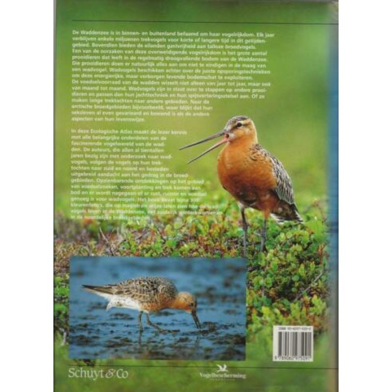 Ecologische atlas van de Nederlandse Wadvogels Kam, Jan van
