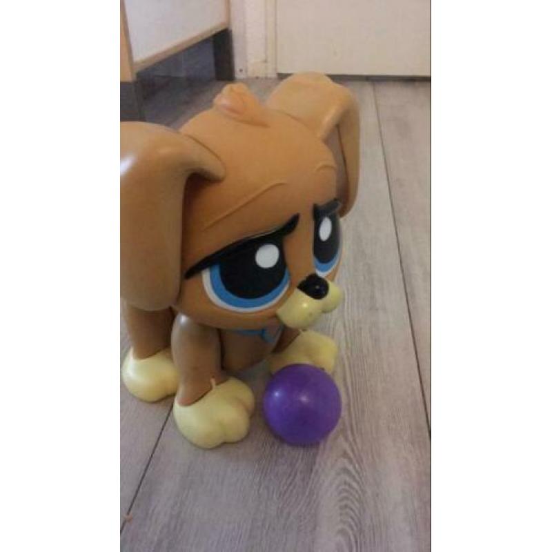 Zelflopende hond