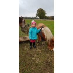 Verzorgpony gezocht
