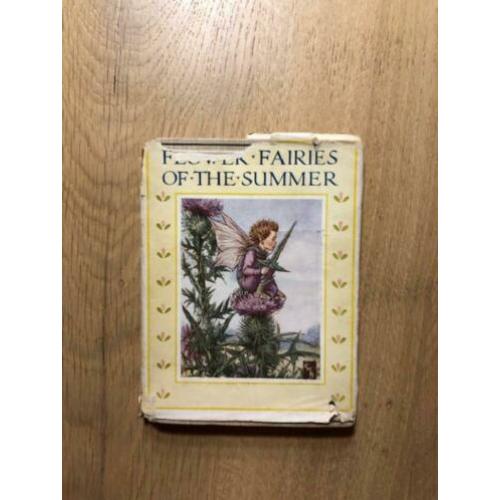 Flower Fairies of the Summer