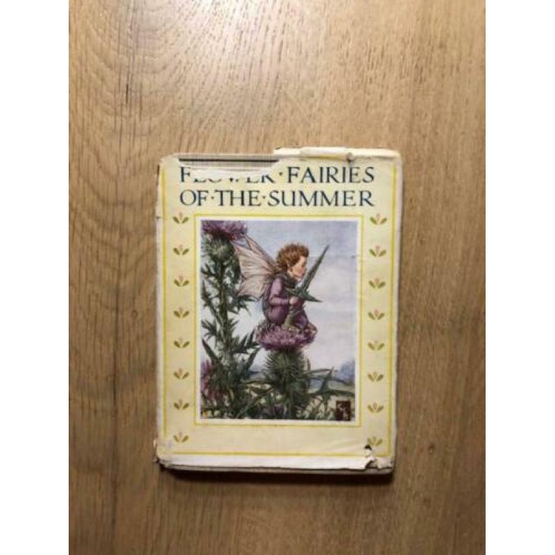 Flower Fairies of the Summer