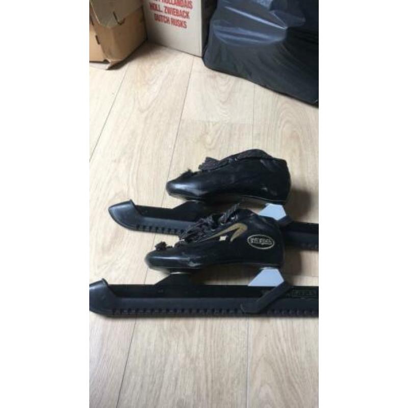 Raps Lion vaste schaatsen mt 37