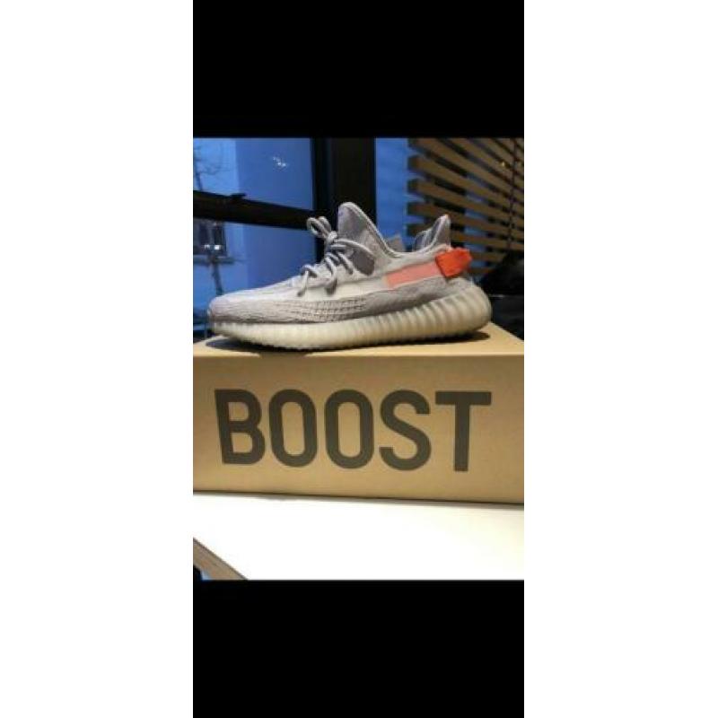 Yeezy 350 v2 Tial light