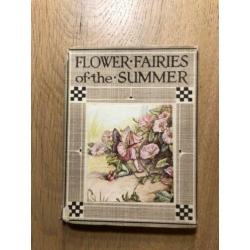 Flower Fairies of the Summer